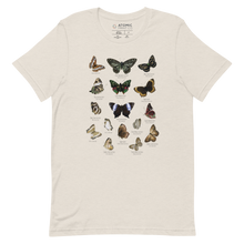 Load image into Gallery viewer, Butterfly Taxonomy Tee
